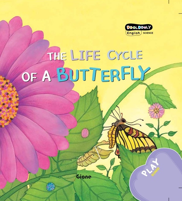 DDOL DDOLY THE LIFE CYCLE OF A BUTTERFLY